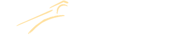 Negozio in Vendita a Venezia